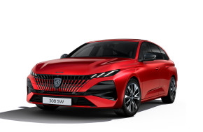 PEUGEOT 308 SW ESTATE at Peter Ambrose Castleford